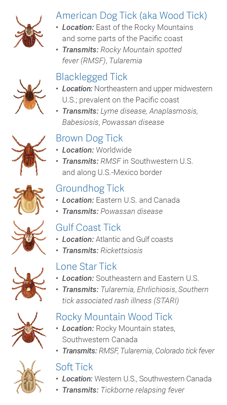 Tick Index